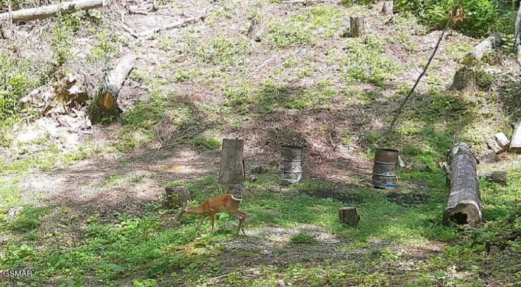 Picture 6