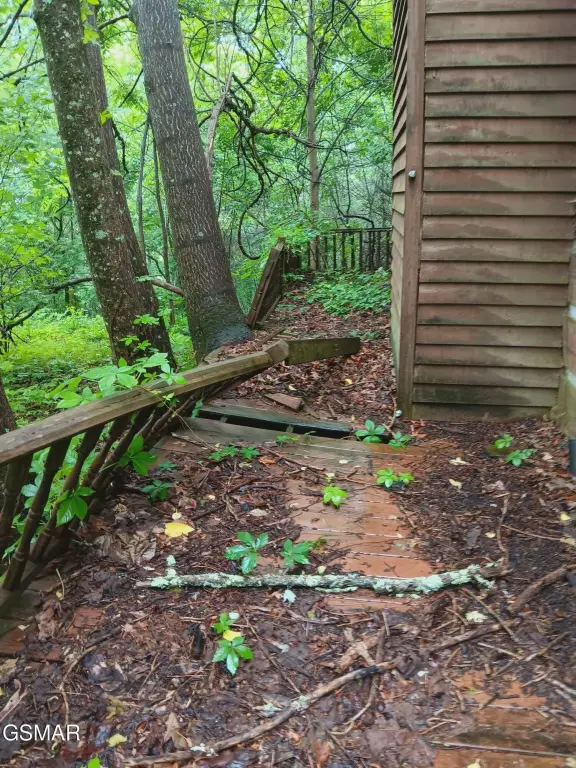 Picture 18