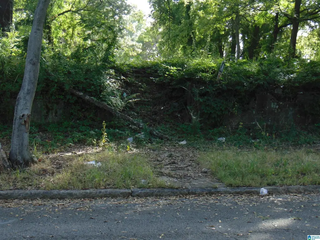 Picture 2