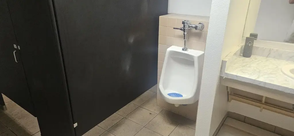Picture 6