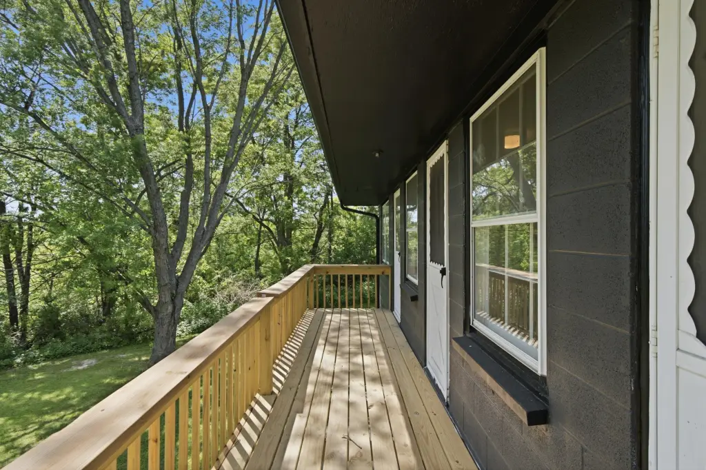 Picture 8