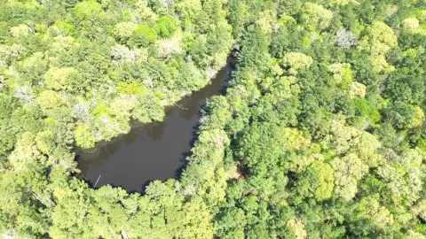 35+ Acres Recreational Land