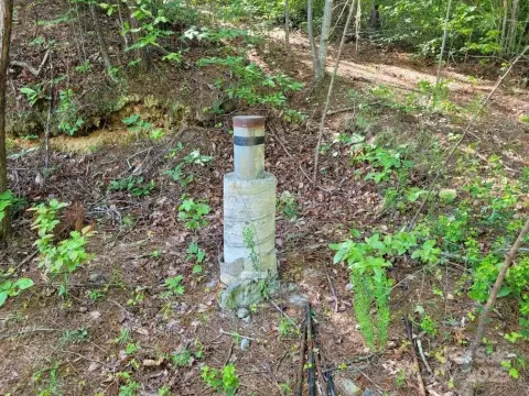 Marion, NC Land with Views