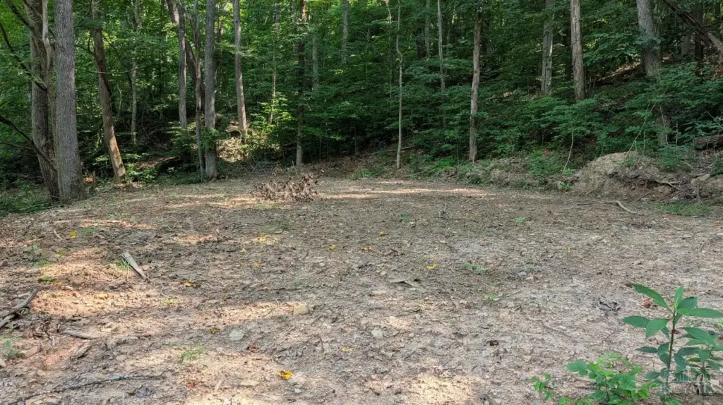 Picture 2