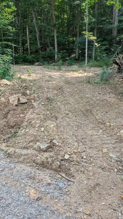 Picture 4