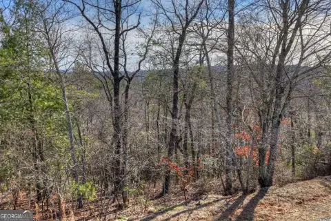 Mountain View Homesite in Golf Community