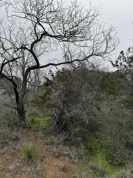 Granite Shoals Residential Lot