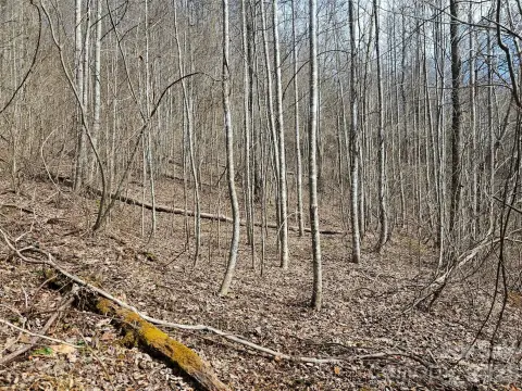 Land in Sylva, NC