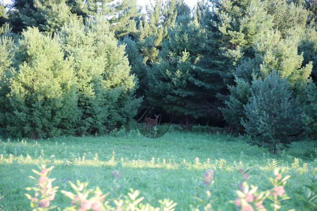 Picture 8