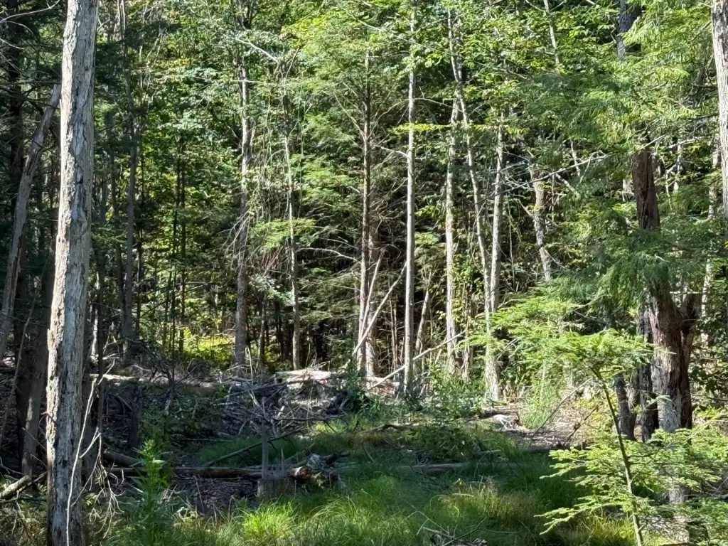 Picture 13