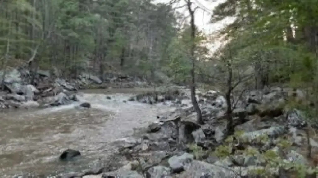 Picture 30