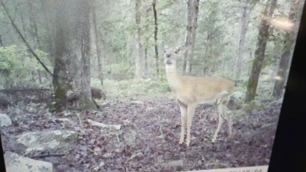 Picture 18