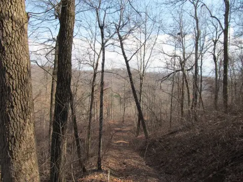 Mountain Land with Pond
