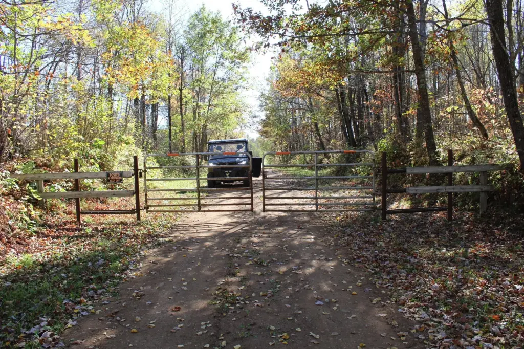 Picture 15