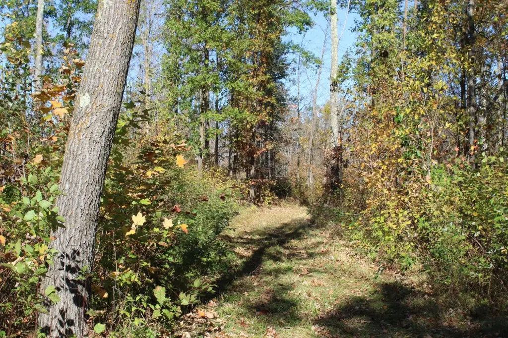Picture 26