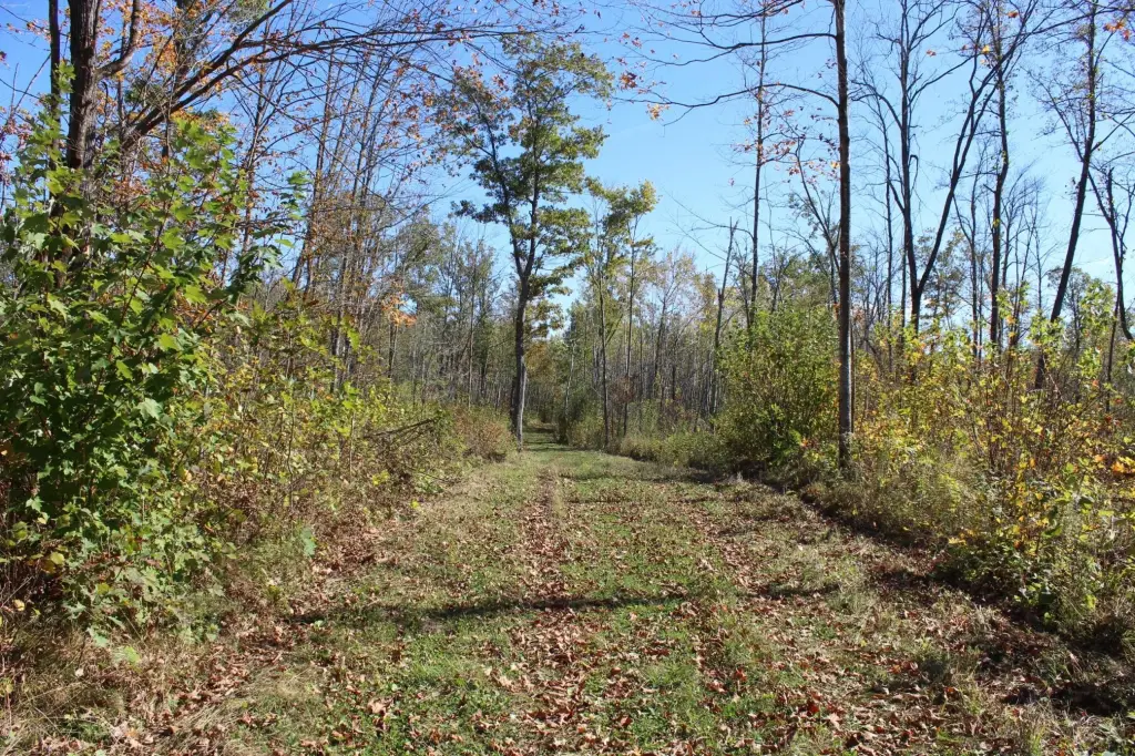 Picture 11