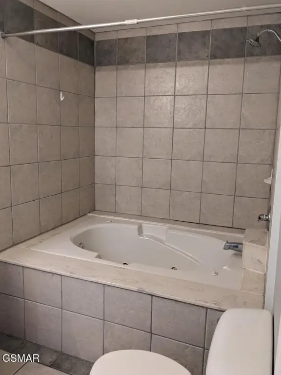 Picture 13