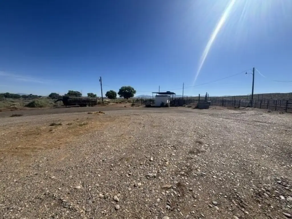 Picture 12