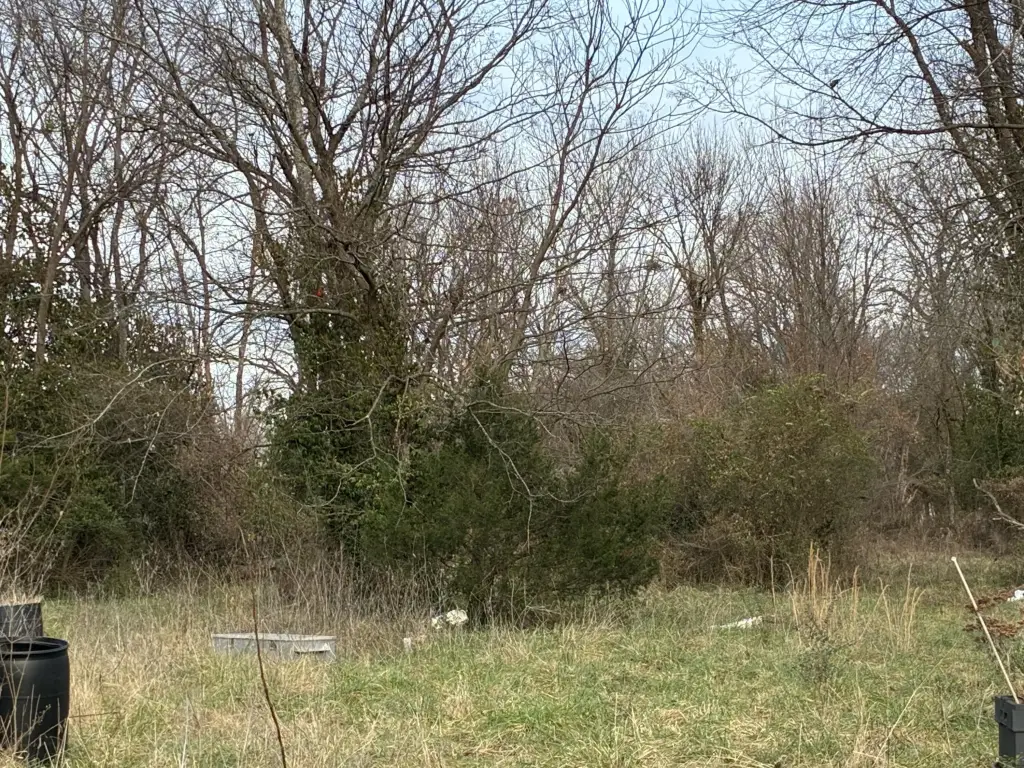 Picture 9