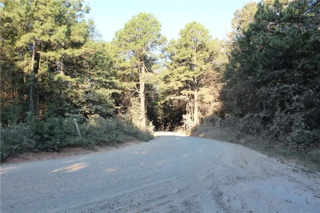 Picture 12