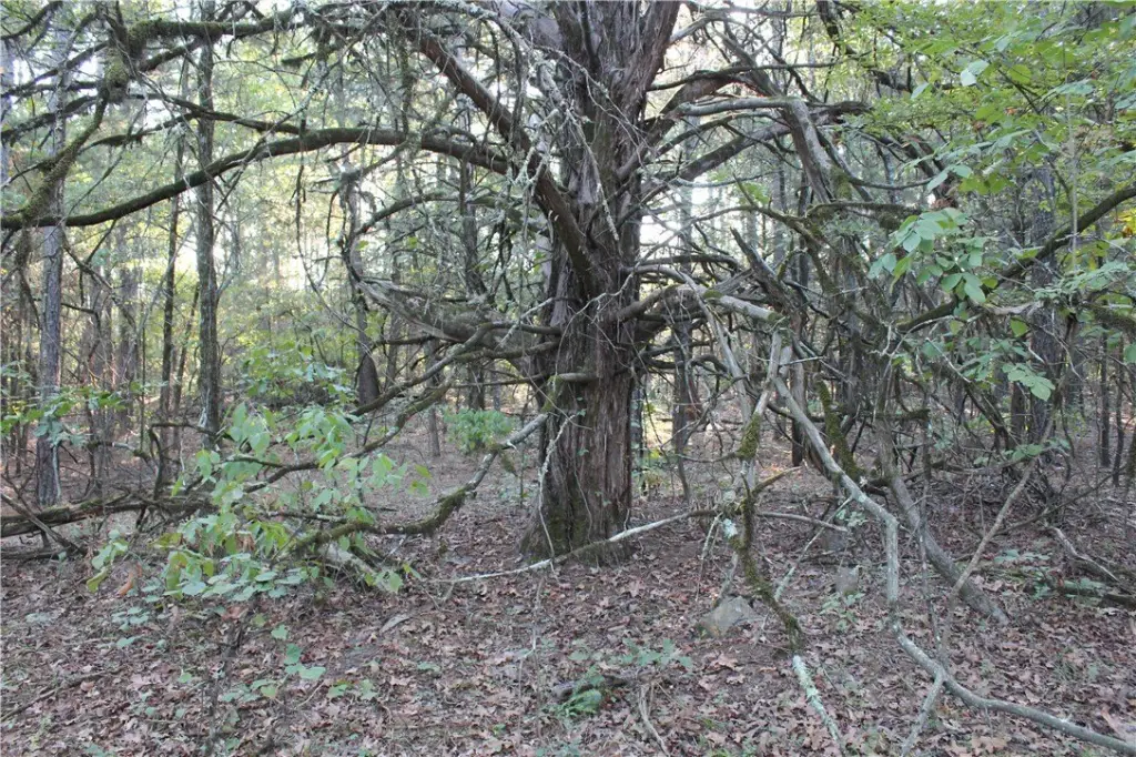 Picture 28