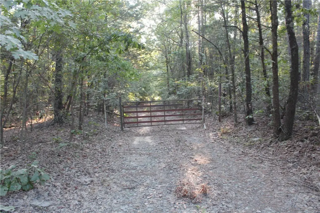 Picture 10