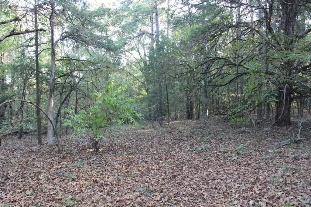Picture 30