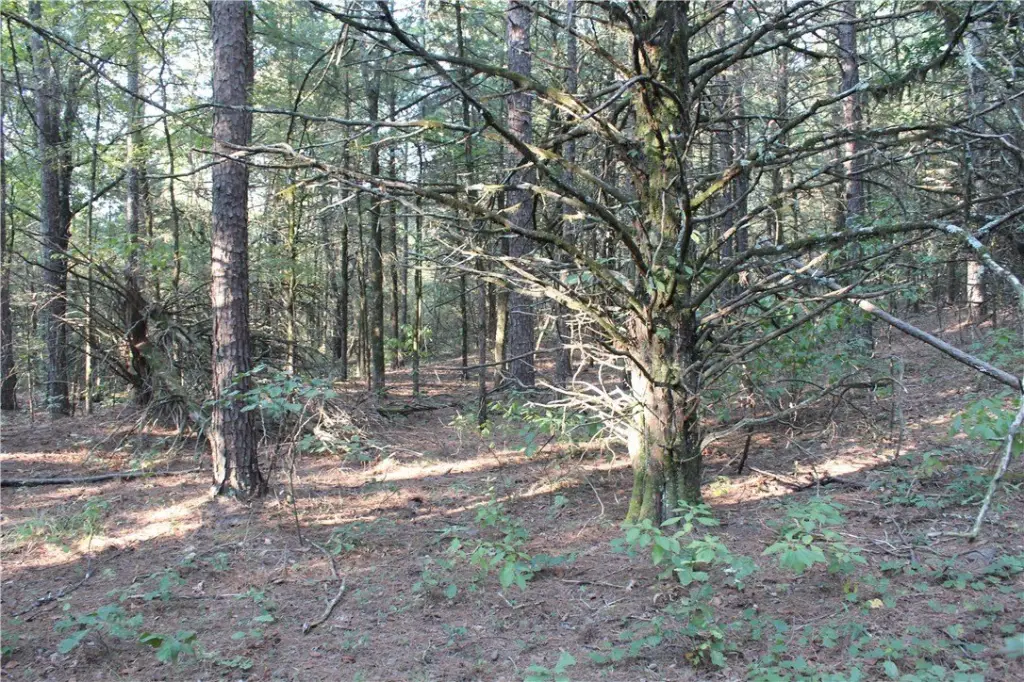 Picture 17