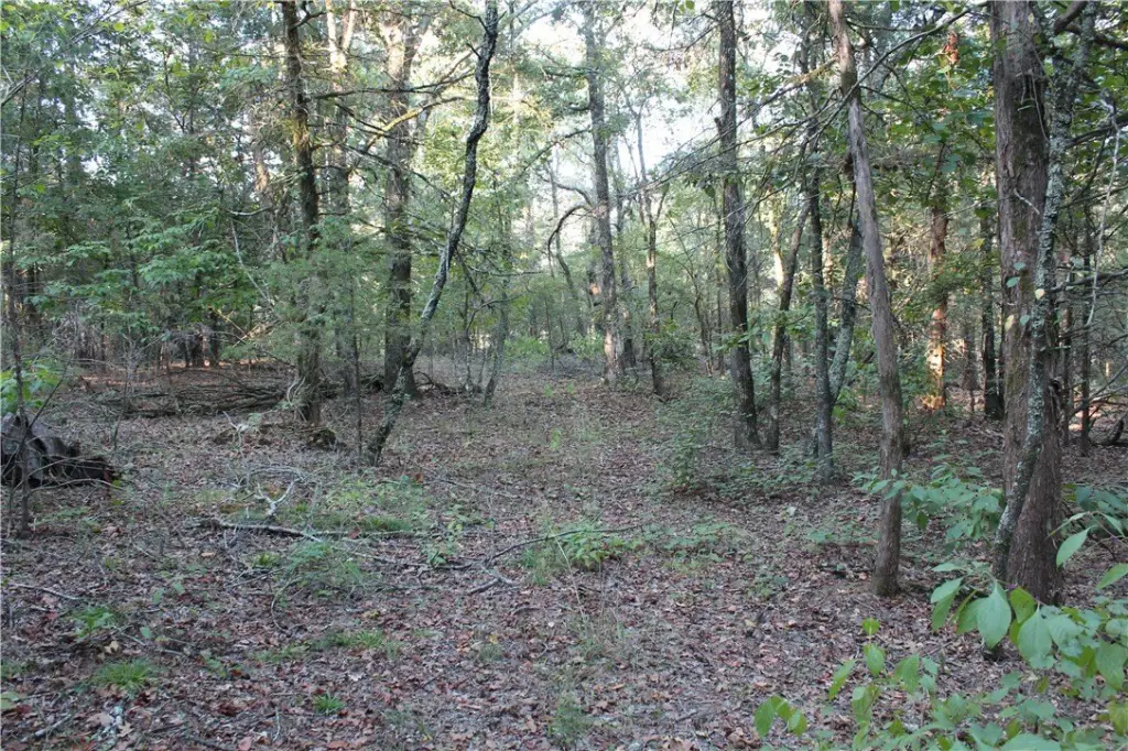 Picture 25