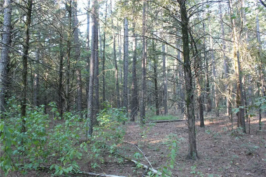Picture 14