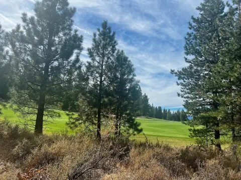 Homesite Backing Nakoma's Dragon Fairway