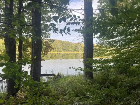 Cincinnatus Land with Pond Access