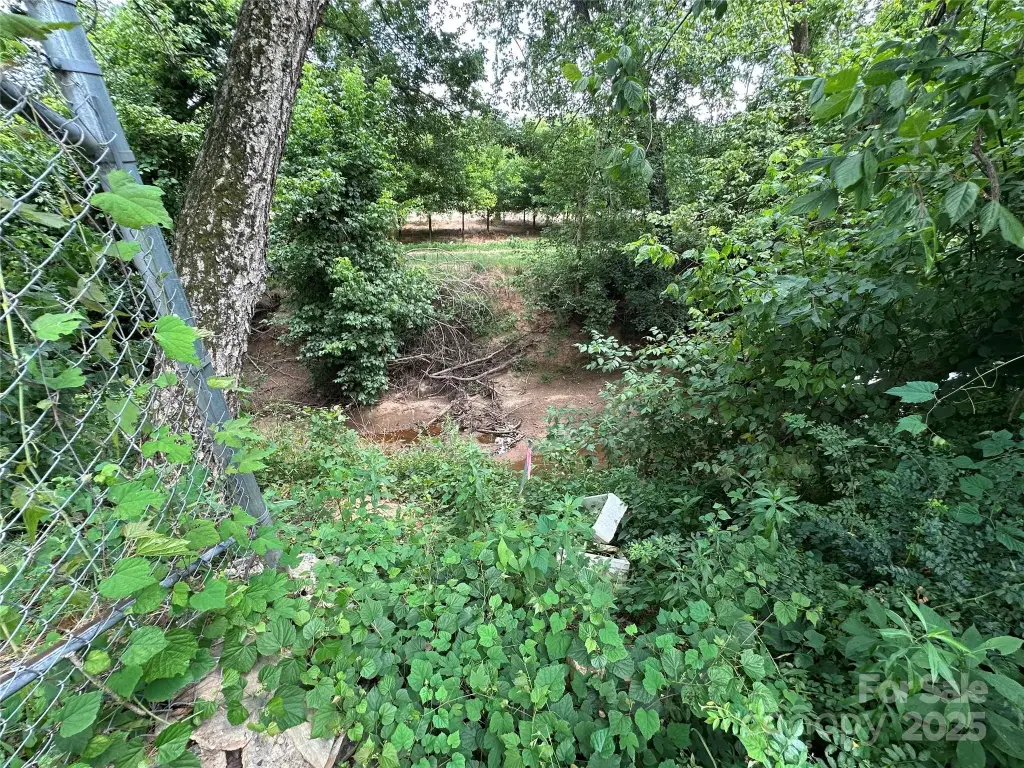 Picture 28