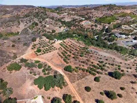 Avocado Grove Agricultural Land
