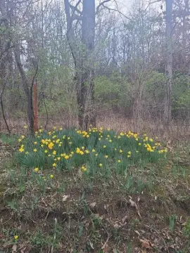 Land with Lake Access