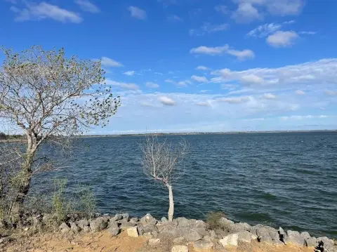 Land with Lake View