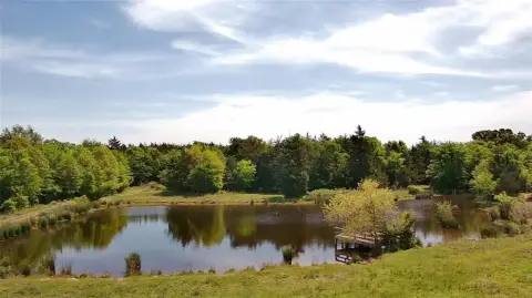 Northeast Texas Agricultural and Hunting Property