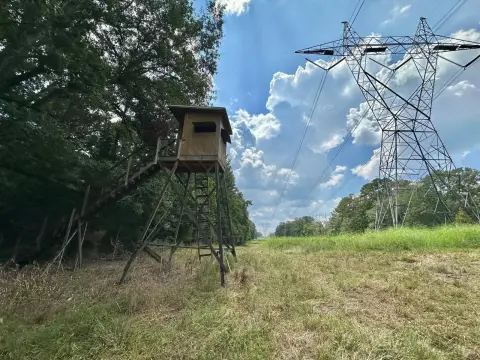 Terry, MS Vacant Land