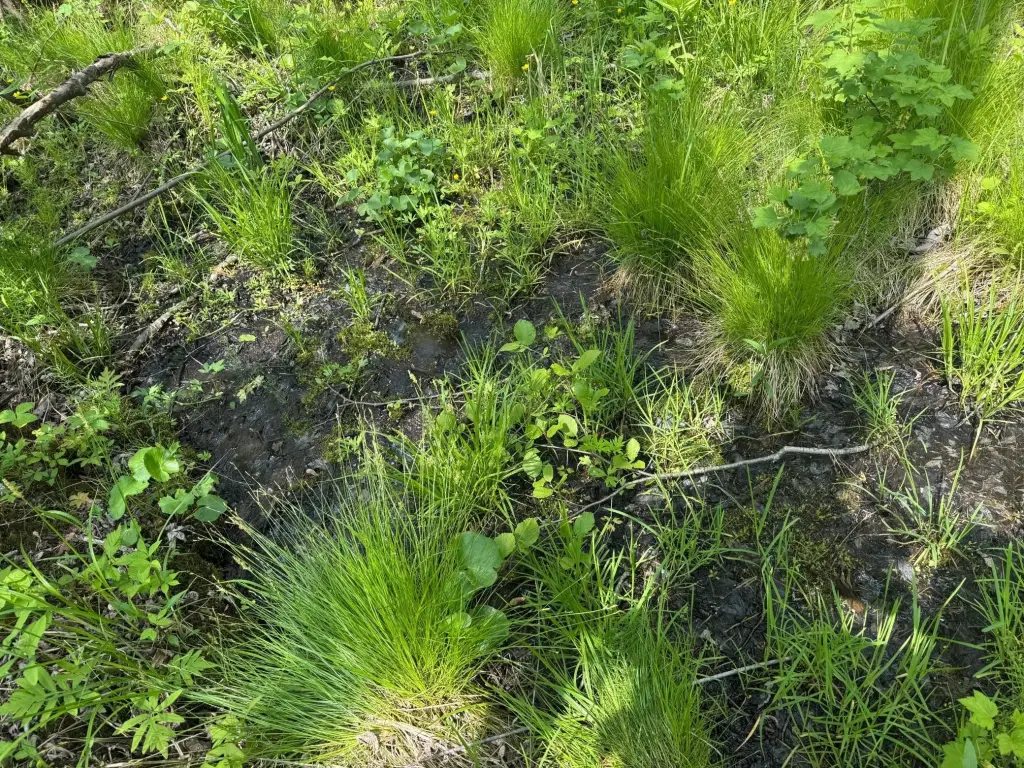 Picture 25