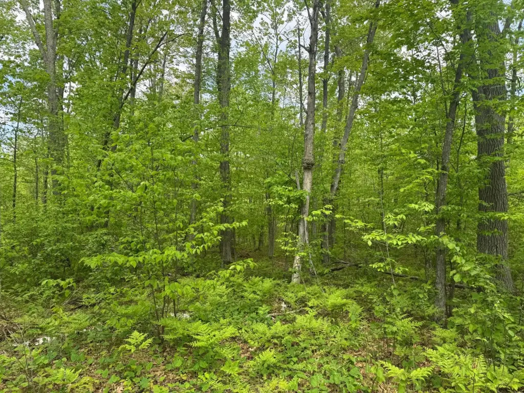 Picture 22