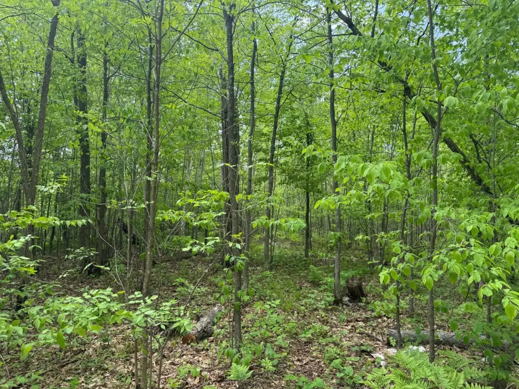 Picture 23