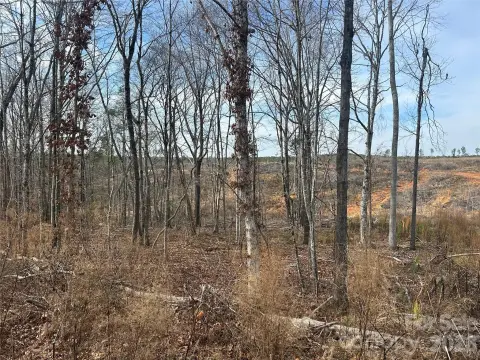 Blackstock SC Land For Sale