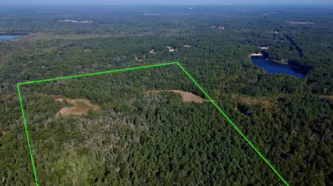 40 Acres Wooded Land Near Newaygo