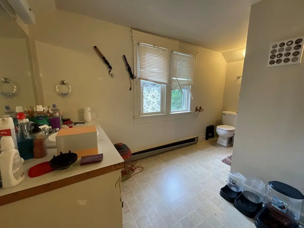 Picture 31