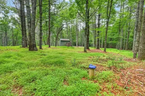 Unrestricted Mountain Recreation Land
