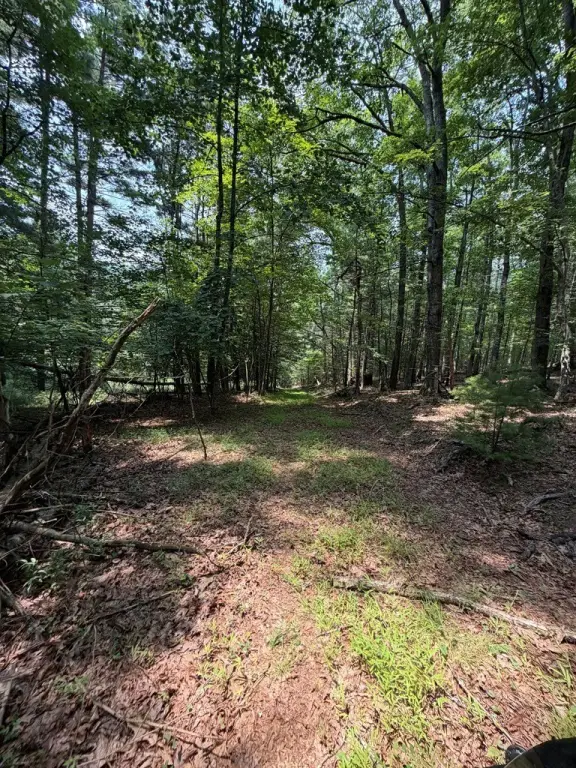 Picture 20