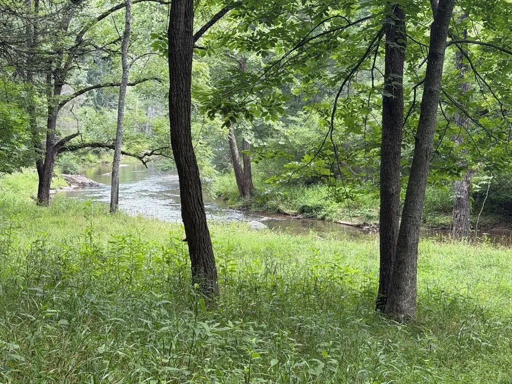 Picture 45