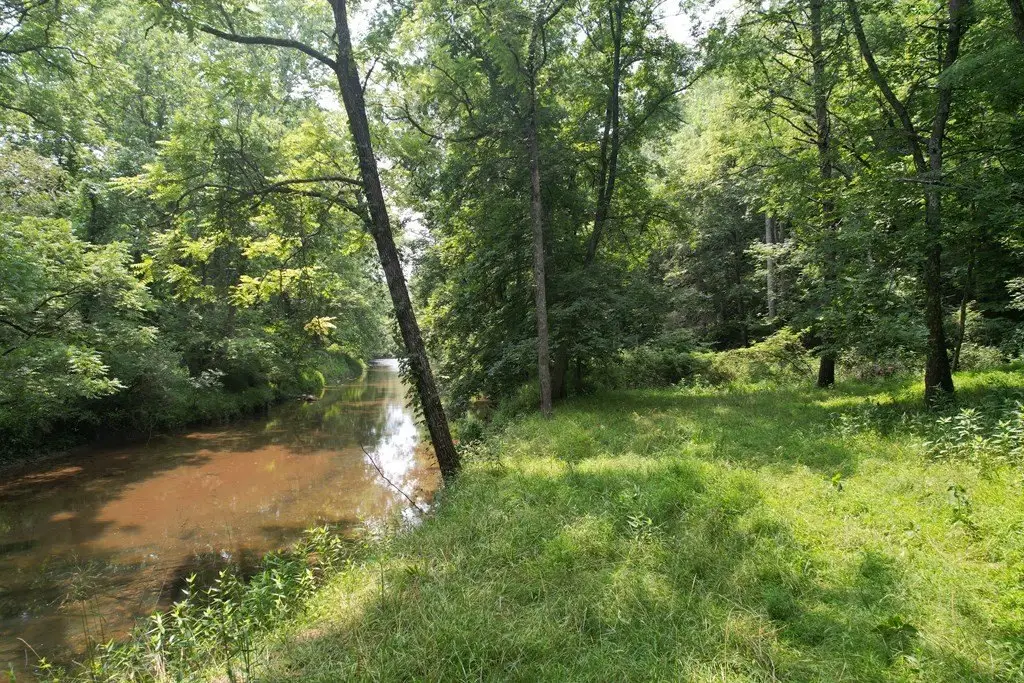 Picture 41