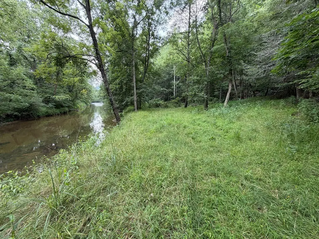 Picture 42