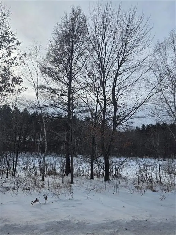 Picture 4